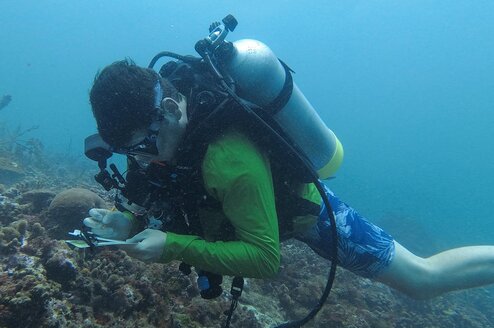 Research Buddy in Action